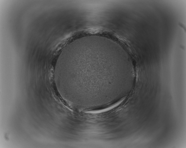 X0000099451349200805161012