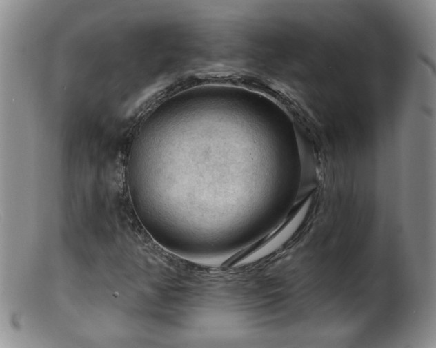 X0000099451350200805161012