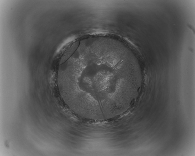 X0000099451351200805161012