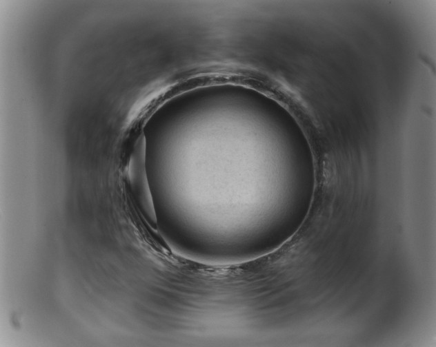 X0000099451352200805161012