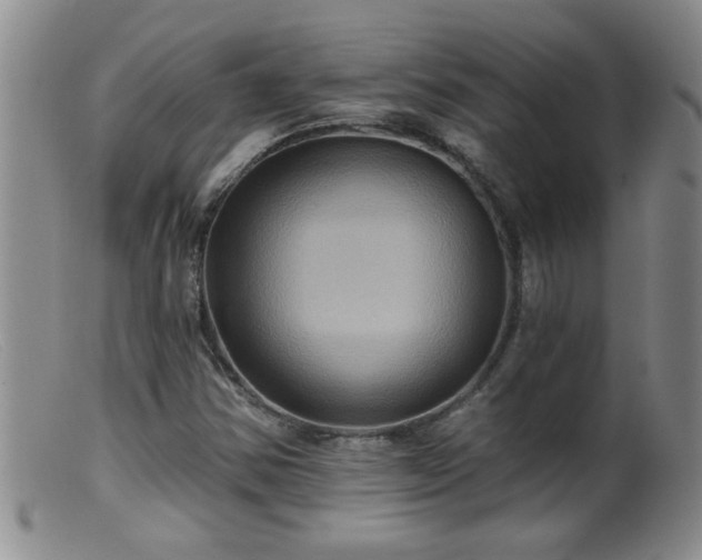 X0000099451354200805161012