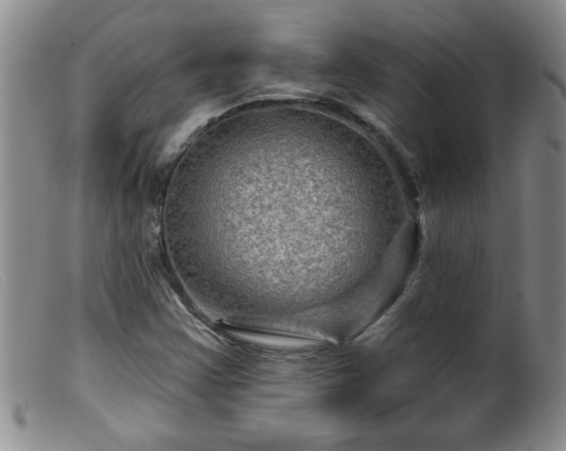 X0000099451355200805161012