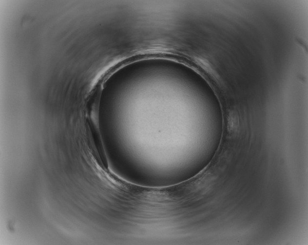 X0000099451356200805161012