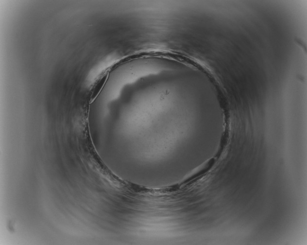 X0000099451359200805161012