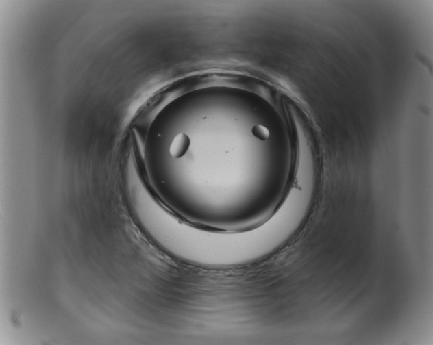 X0000099451360200805161012