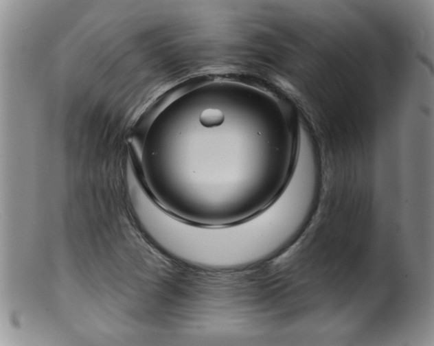 X0000099451361200805161012