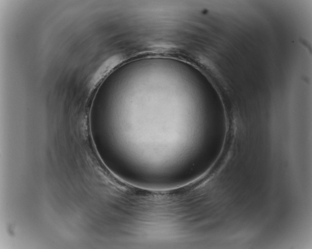 X0000099451362200805161012