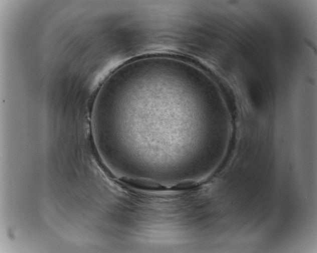 X0000099451363200805161012