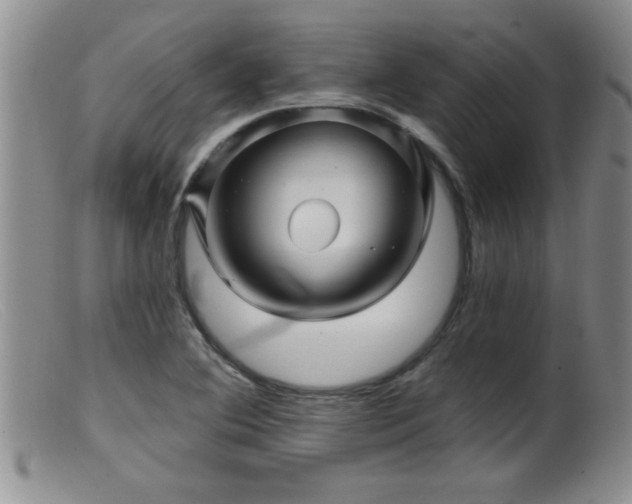 X0000099451364200805161012