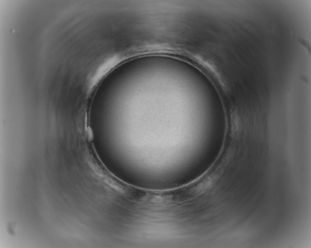 X0000099451365200805161012