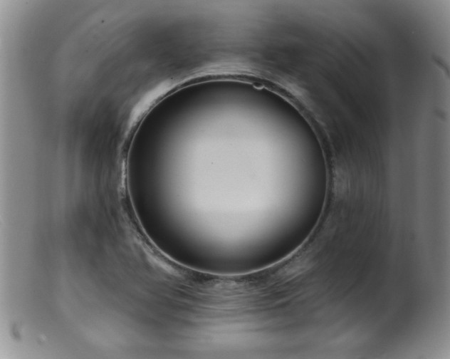 X0000099451366200805161012
