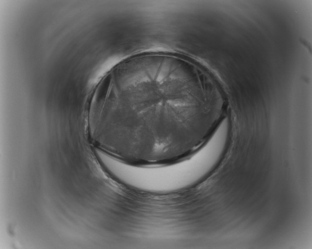 X0000099451367200805161012