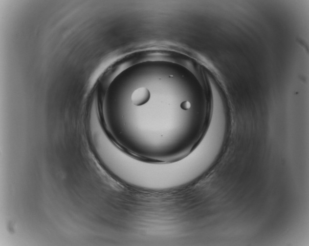 X0000099451368200805161012