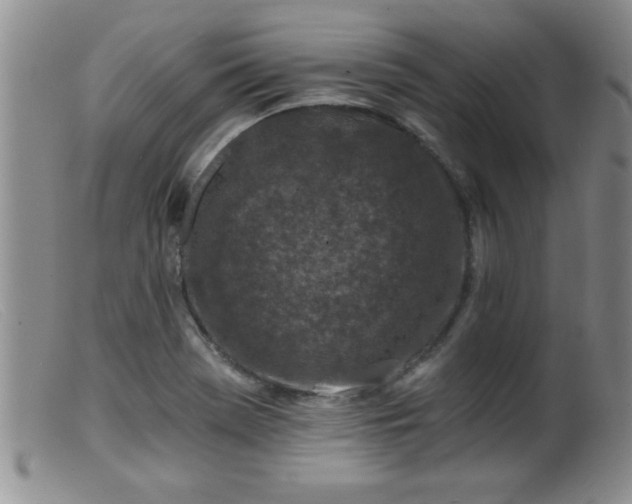 X0000099451369200805161012