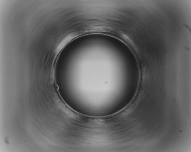 X0000099451370200805161012