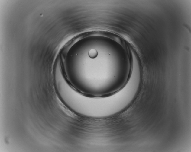 X0000099451372200805161012