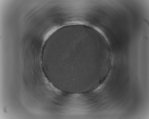 X0000099451373200805161012