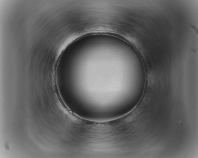 X0000099451374200805161012