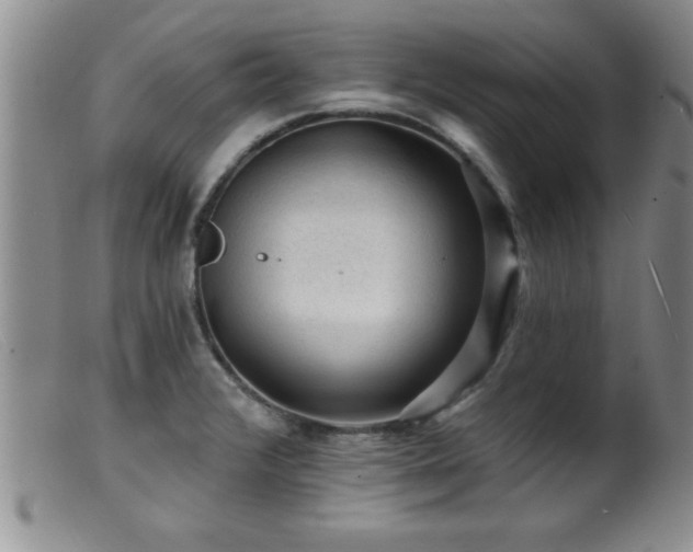 X0000099451376200805161012