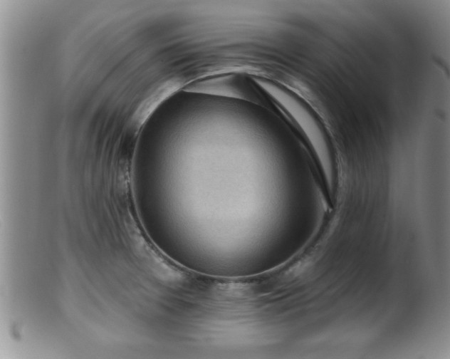X0000099451377200805161012