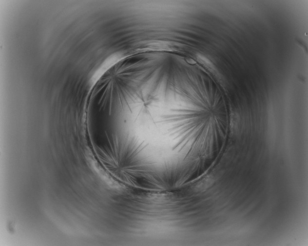 X0000099451378200805161012