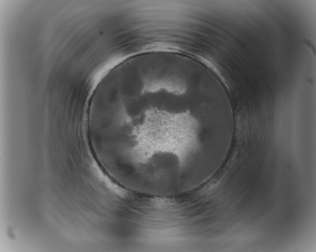 X0000099451379200805161012