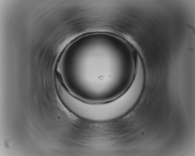 X0000099451380200805161012