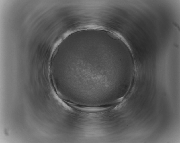 X0000099451381200805161012