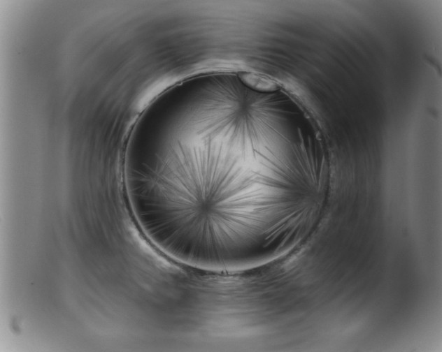 X0000099451382200805161012