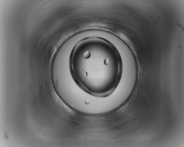 X0000099451384200805161012