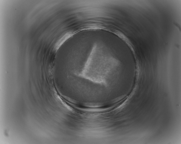 X0000099451385200805161012