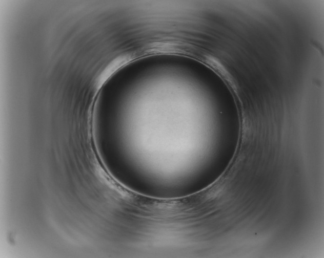 X0000099451386200805161012