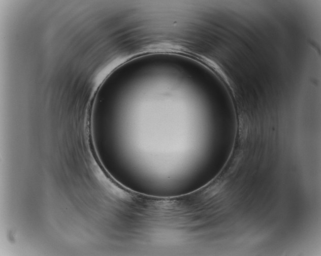 X0000099451387200805161012