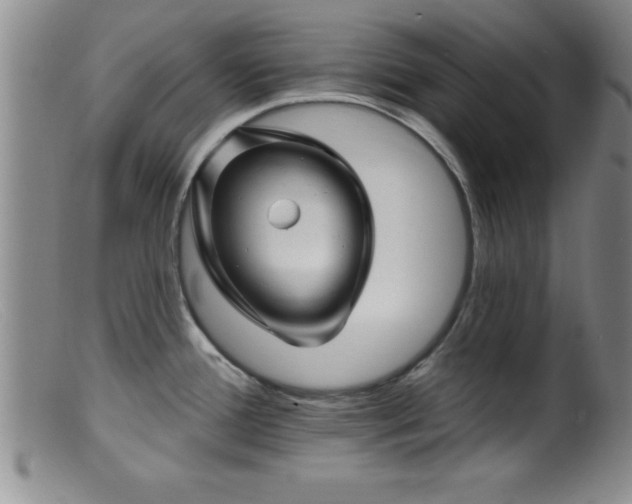 X0000099451388200805161011