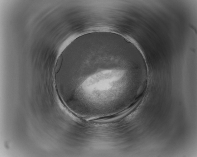 X0000099451389200805161011