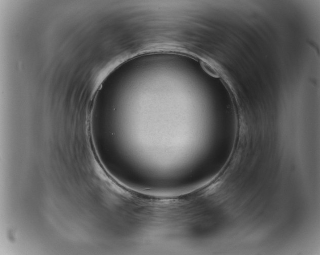X0000099451390200805161011