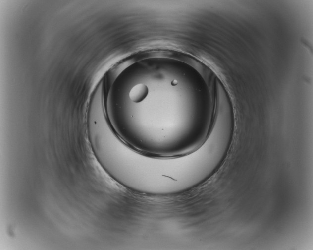 X0000099451392200805161011