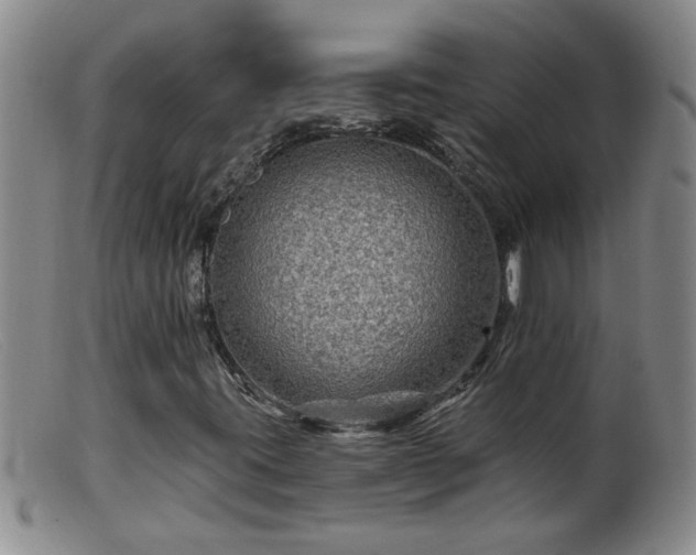 X0000099451395200805161011