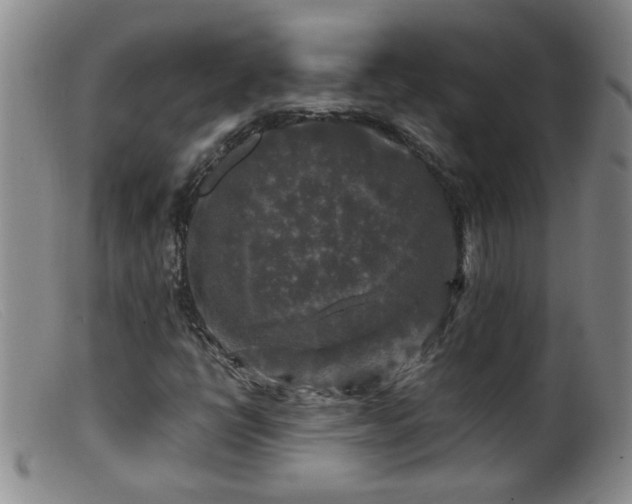 X0000099451398200805161011