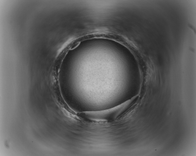 X0000099451400200805161011