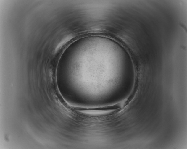 X0000099451402200805161011