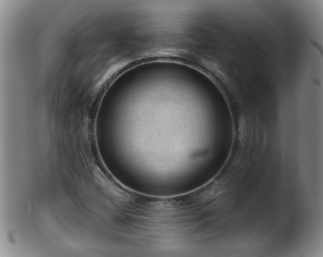 X0000099451404200805161011
