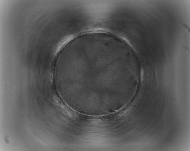 X0000099451405200805161011