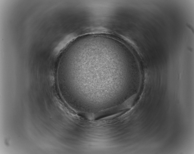 X0000099451407200805161011