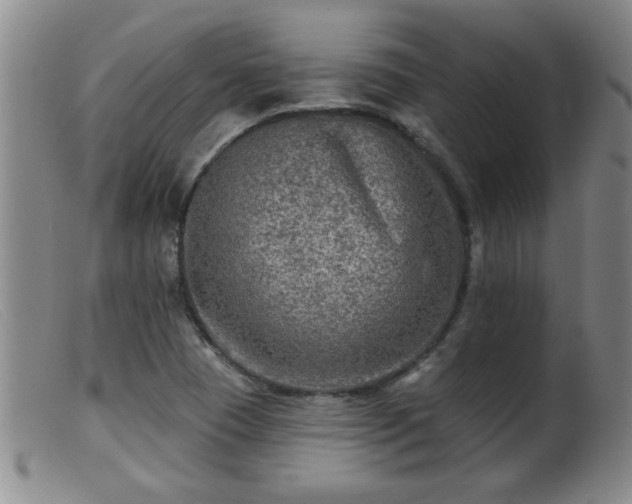 X0000099451409200805161011