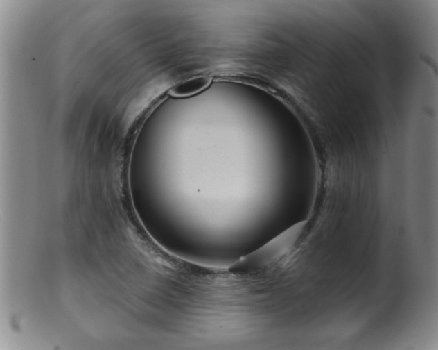 X0000099451410200805161011