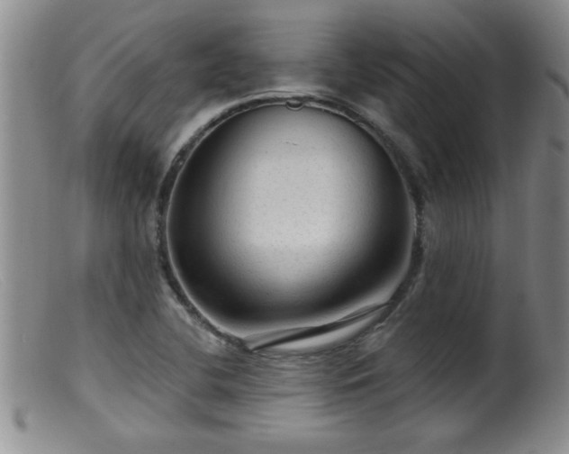 X0000099451412200805161011