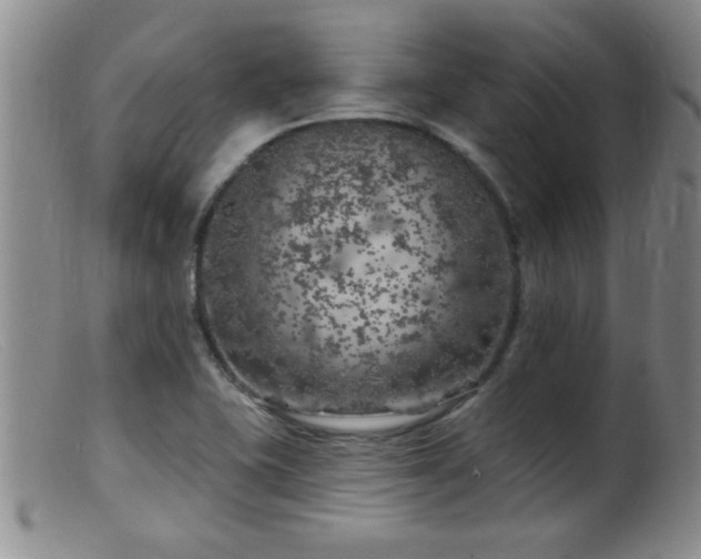 X0000099451415200805161011