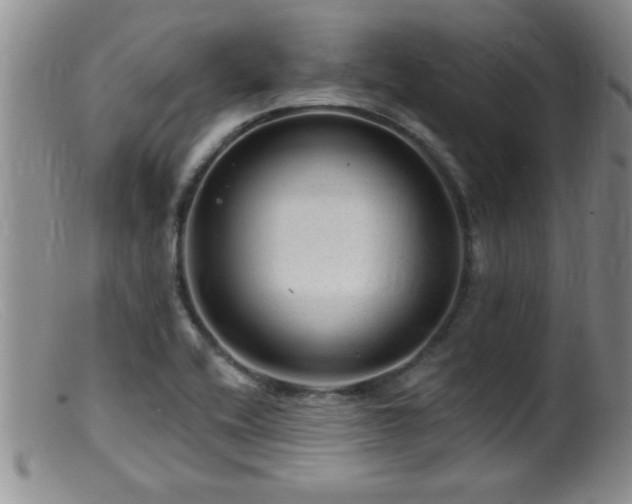 X0000099451416200805161011