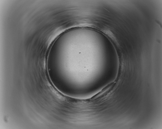 X0000099451420200805161011
